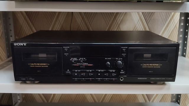 Daily Stream за декабрь-январь