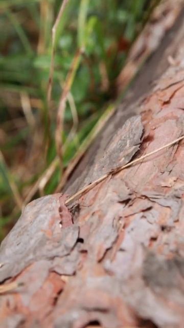 Просто живи и просто люби.