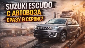 Suzuki Escudo с аукциона Японии — снял с автовоза и сразу в сервис!