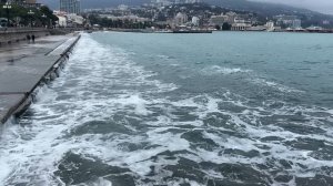 Ялта. С первым весенним Праздником!  Море. Кофе. Чайки. Красота. Ранняя весна 2026. Крым. Crimea. Ya