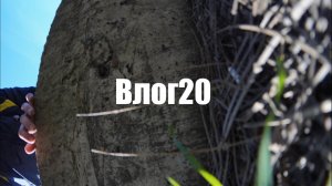 Влог20 - паркур тренировка