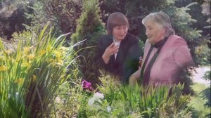 С праздником Весны, коллеги