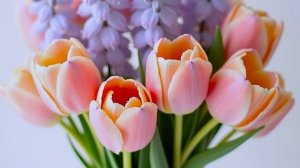 Как актриса жемчужинкам про праздник лекцию читала #надежда #страничканадежды #сериал #приключения