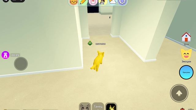 Как спасти чёрного кота и кото акулу