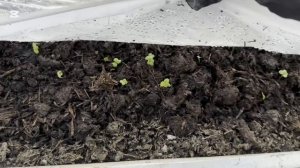 ❤️Семейный сельский влог выходного дня в селе на юге. Краски Кубани