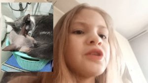 Спасибо#вопрос ответ#подпишись❤️#куки куки луки🍪