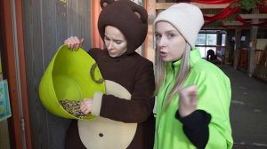 Алиса Кукутик - Алиса и Медведь на городской ферме ВДНХ(1080P_60FPS)