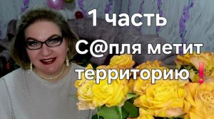 1 часть. С@пля метит территорию❗️