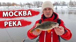Вода здесь не замерзает даже зимой! Рыбалка на Москве реке.