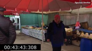 Рыба Гигант. Дунайские Монстры / Одесса Рынок / Цены Бограч