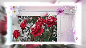 Поздравление С 8 Марта 6 от Киностудии Мудрого Кота Тимофея!