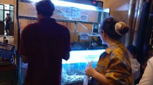 Боракай, Филиппины, февраль 2026 г. Вечерняя прогулка по Ди-Моллу.