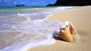 Т.Миансарова Море молодости