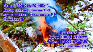 Песня "ГОЛОСА ГОНЧИХ ". Русские гончие АРГОН И ЛАЙМА вл. Шатров В.А.#охотасгончей