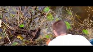 собираю пластиковую рыбку ЧАСТЬ 34