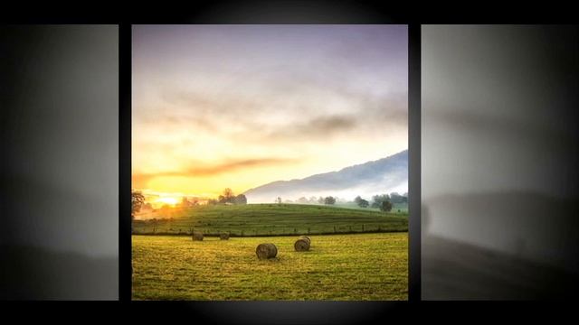 Opii - Видеть Сны