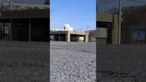 9 Марта 2026 на пляже Сукко стояла превосходная погодка. Репортаж Светланы Тихоновны