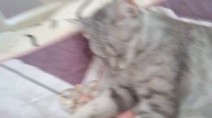 сколько мне лет?