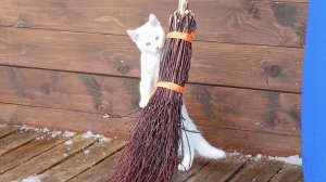 Весна и первые всходы 🌱