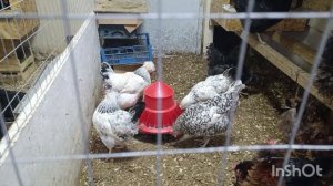 09-03-2026  Отличная новость.🤔