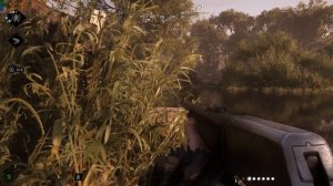 Hunt Showdown 1896 Чё За ДвиЖ 🤠(No Commentary)