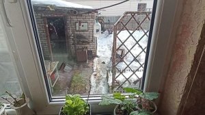 Покупочки, подарочки, розы из"Светофора"!