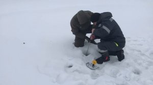 поклёвка на силикон