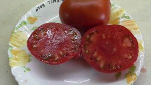 ТОМАТ "ТОМАТО". №309. ДЕГУСТАЦИЯ 2020 года.