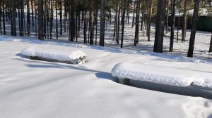 ☀Солнце -20гр красота 💃 Уборка снега в огороде 😂😂😂😂