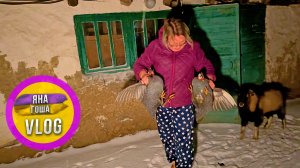 Экстренная ситуация! Сильные морозы в Крыму. Спасаем коз и птиц! Начало заметать снегом...