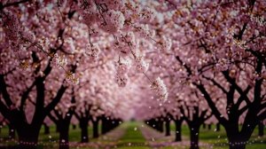 Весной в вишневом, во саду.... #музыка #music