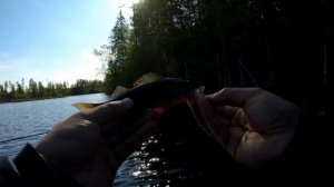 Рыбалка 06.06.23