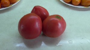 ТОМАТ ТЯЖЕЛОВЕС СИБИРИ. №52. ДЕГУСТАЦИЯ 2020 года.