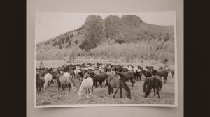 Гимн  геодезистов