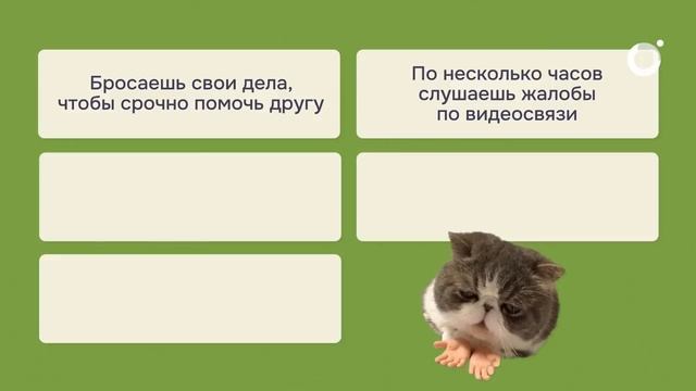Культ травмы почему быть жертвой — это модно - Правое полушарие Интроверта (720p, H264)