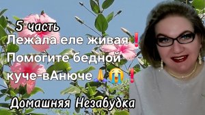 5 часть. Лежала еле живая❗️Помогите бедной куче-вАнюче🙏❗️