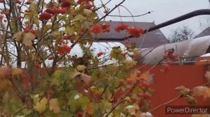 Проект_10-14_Full_HD_1080p_MEDIUM_FR30.mp4