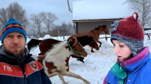 ЧТО БУДЕТ С ХОЗЯЙСТВОМ И ЛОШАДЬМИ?! МНОГИХ ЭТО ШОКИРОВАЛО. Продолжаем РЕМОНТ ДОМА. Жизнь в деревне