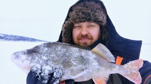 ЗИМНЯЯ РЫБАЛКА НА СУДАКА И ОКУНЯ #рыбалка #FishingHolidays