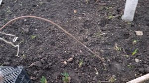 А мы играем