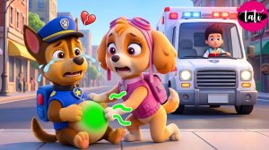 Щенячий патруль и Маршалл. Залипательное видео. Мультфильм для детей и малышей. Анимация 353