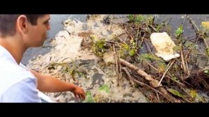 собираю пластиковую рыбку ЧАСТЬ 43