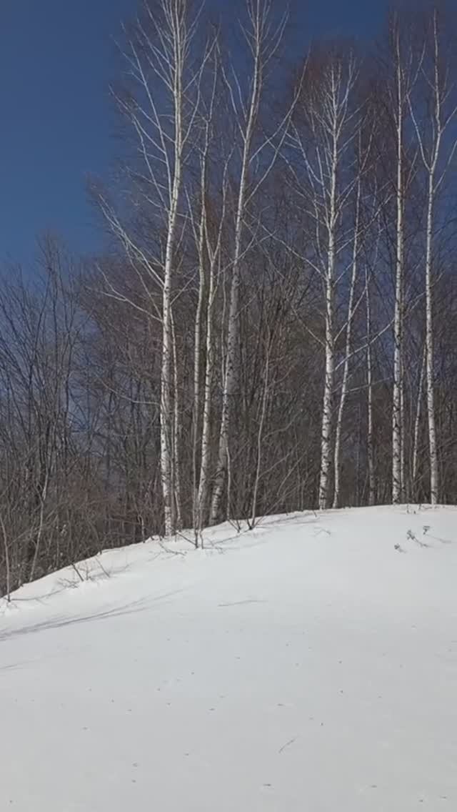 Удивительно-красивое небо в марте. Заячий след на берегу реки Вятки.