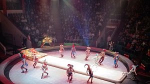 Цирк.
Зрелищное выступление