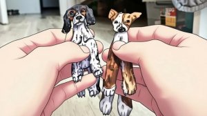 У нас новая собака? +кадры с прогулки.