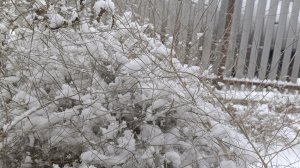 Чем увлекся Артём. Шикарные новости о Саши. И куча подарков.