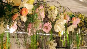 В «Тепличном» уже весна…