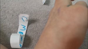 Наши попугаи упровляет жизнью Басика