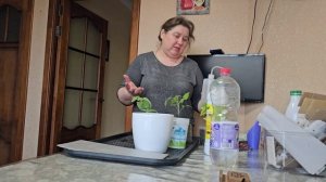 Хутор Замошье/ТЕПЕРЬ ДОМА ТЕПЛО, А НА ДУШЕ СПОКОЙНО. УКРЕПИЛИ СТЕНУ И ПОСЕЯЛИ ПЕРВУЮ РАССАДУ.