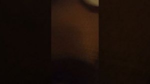 блоп топ лагерь